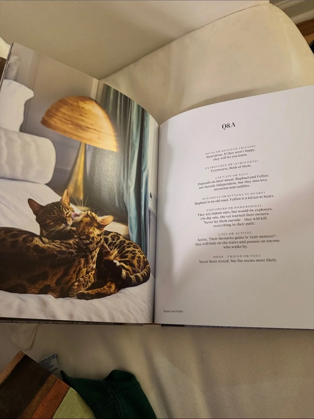 Where They Purr Book